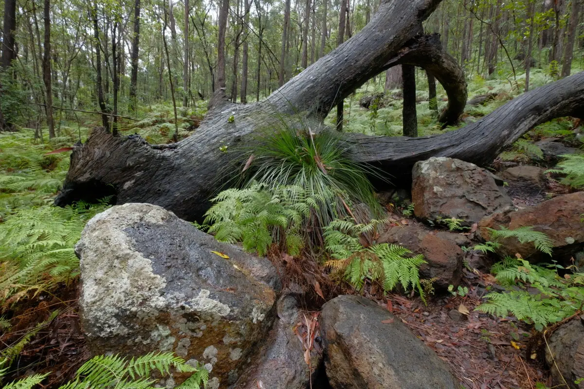 Planet Explorer 11: Australia - Day 3 (6)