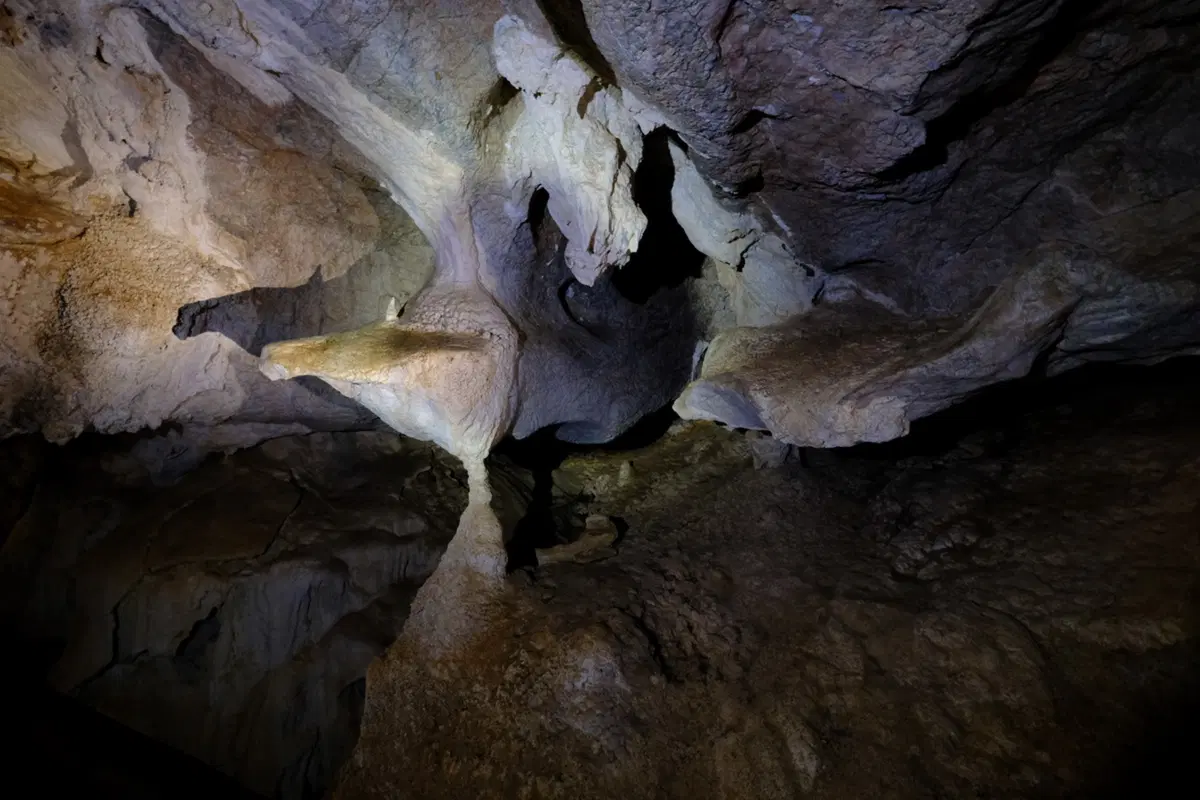 Planet Explorer 11: Australia - Day 5 (2)