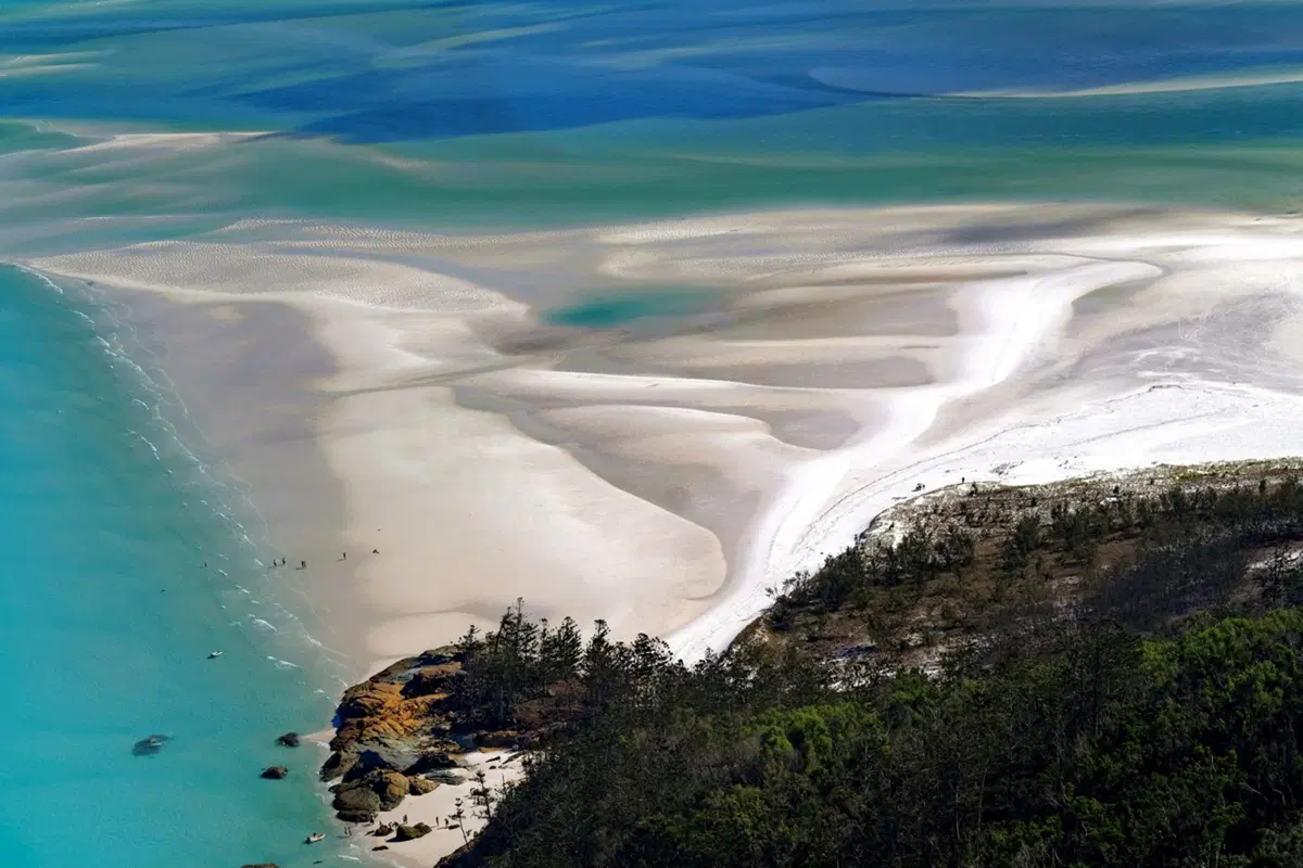 Planet Explorer 11: Australia - Day 6 (3)