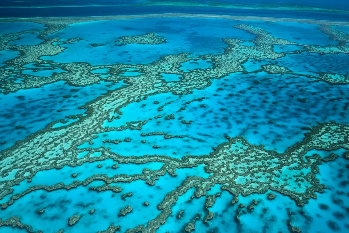 Planet Explorer 11: Australia - Day 6 (10)