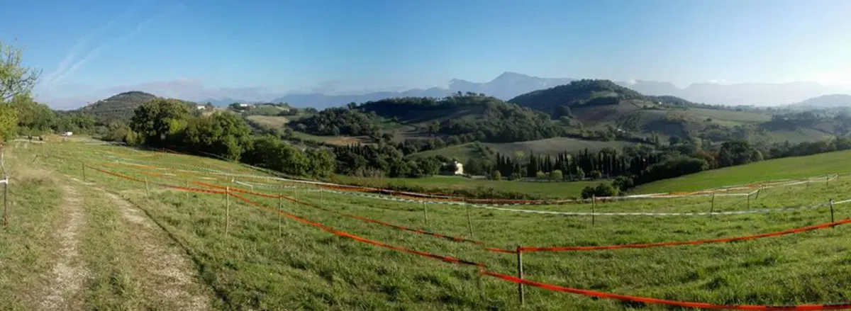 Trofeo Enduro KTM: lo show è a Esanatoglia (33)