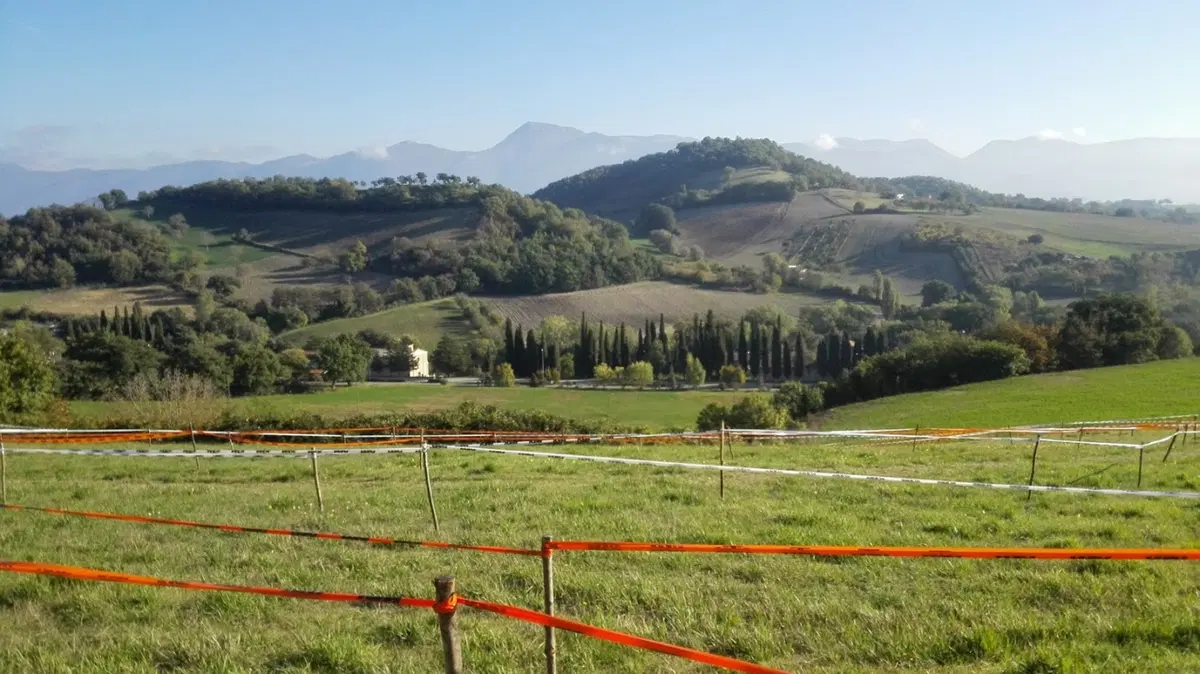 Trofeo Enduro KTM: lo show è a Esanatoglia (63)