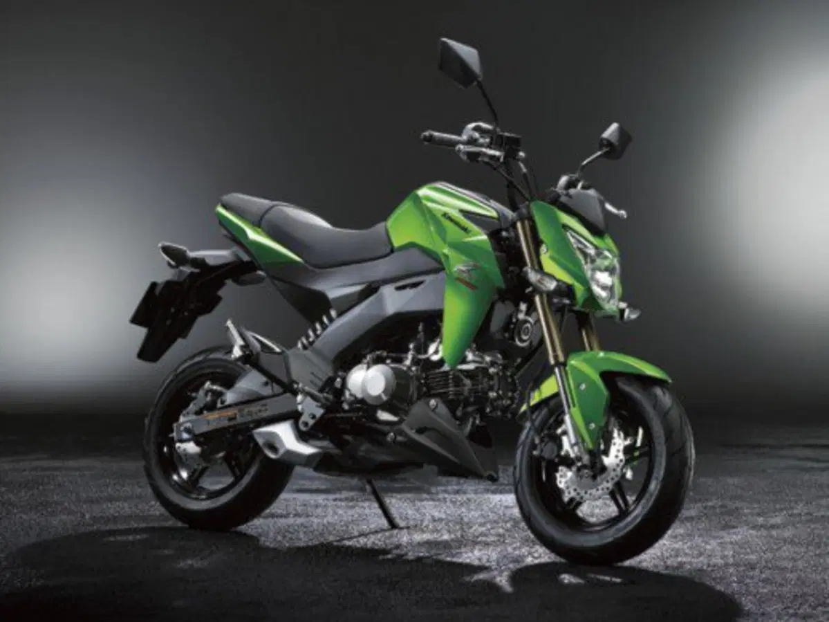 Kawasaki Z125 (4)