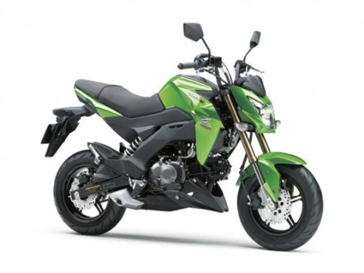 Kawasaki Z125 (9)