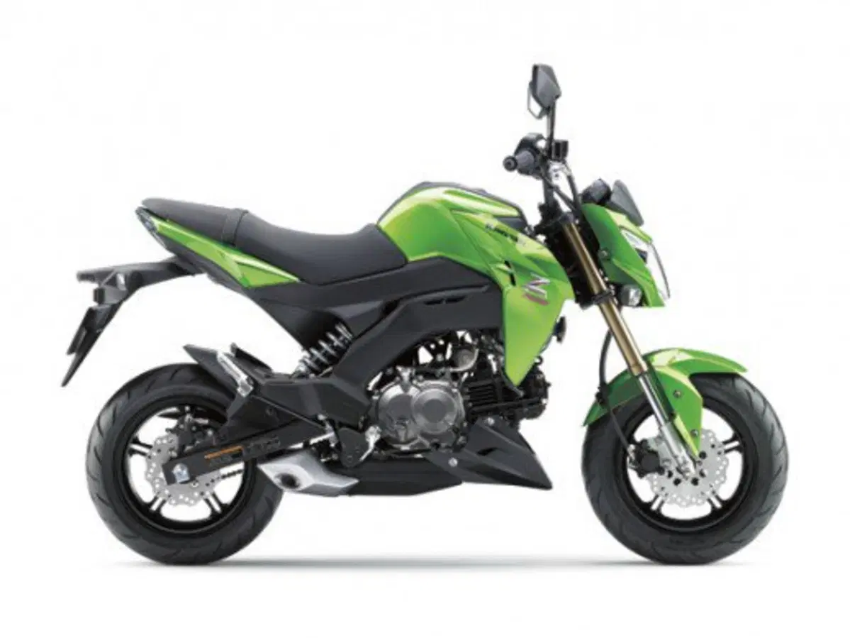 Kawasaki Z125 (10)