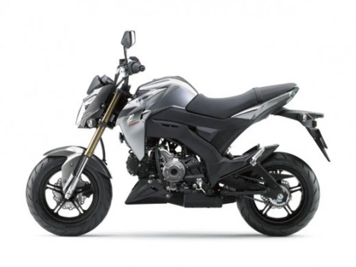 Kawasaki Z125 (11)