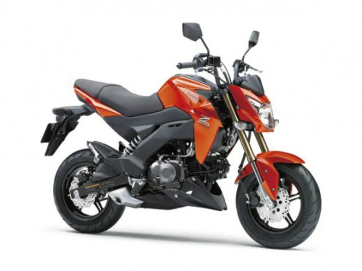 Kawasaki Z125 (13)