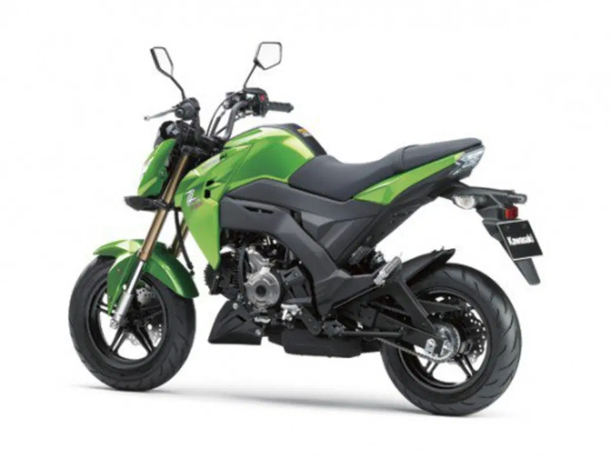 Kawasaki Z125 (14)