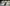 Honda CB500X 2016