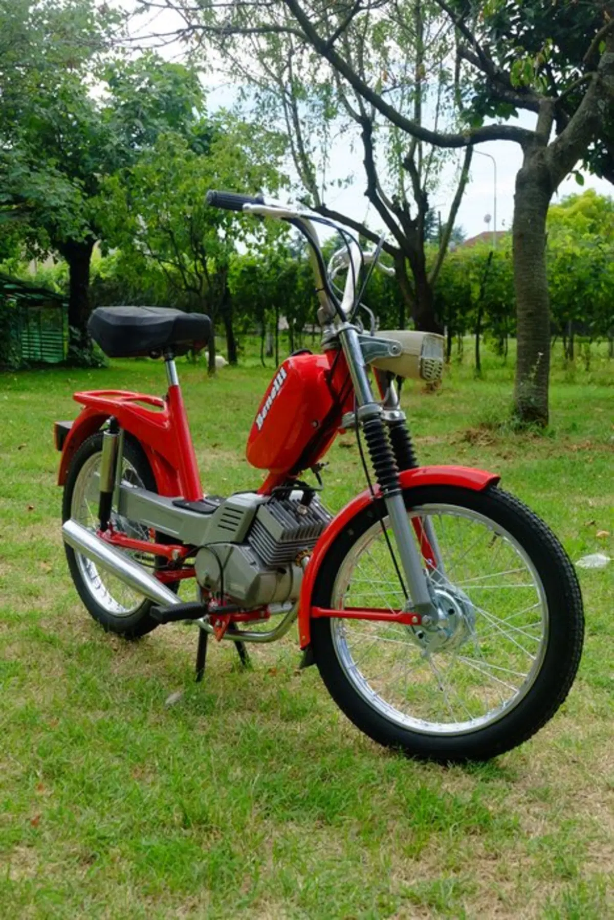 Restaurando fai da te: Benelli Export 3V 1979 (24)