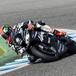 Test SBK Jerez. Sykes come Iannone investe un volatile