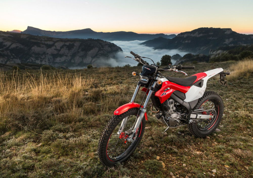 Montesa 4 Ride 260 (2016 - 17) (3)