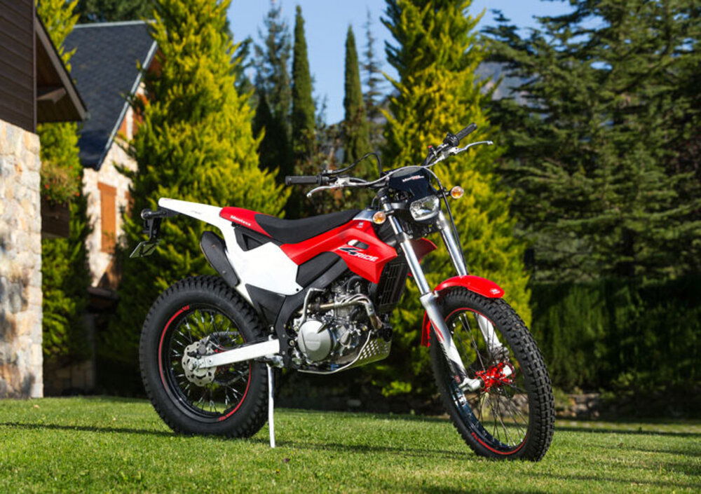 Montesa 4 Ride 260 (2016 - 17) (5)