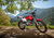 Montesa 4 Ride 260 (2016 - 17) (7)