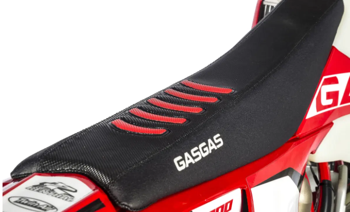 GASGAS EC 300 EC 300 GP (2018) (11)