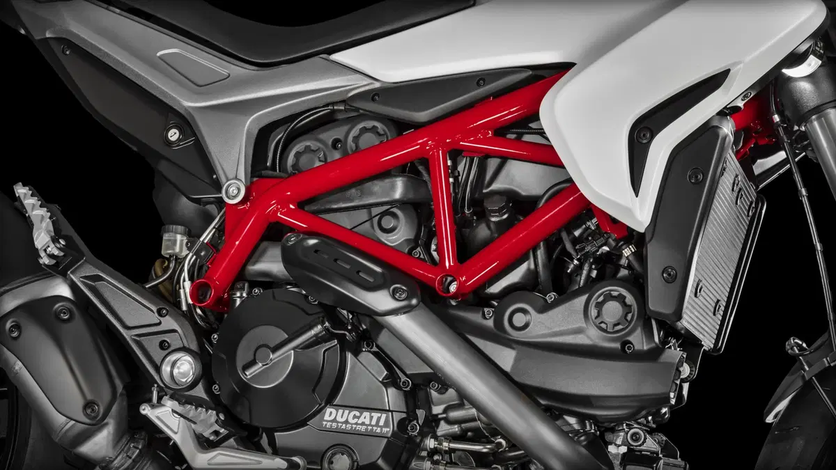 Ducati Hypermotard 939 Hypermotard 939 (2016 - 18) (14)