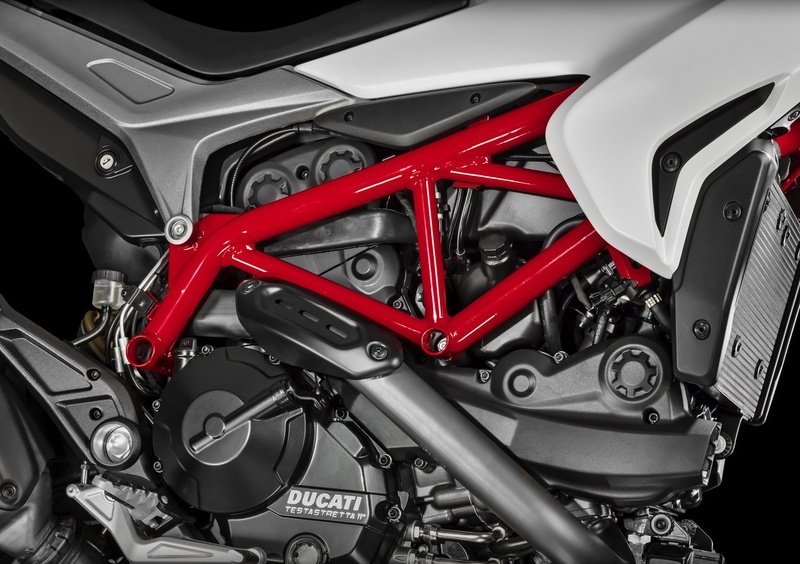 Ducati Hypermotard 939 Hypermotard 939 (2016 - 18) (14)