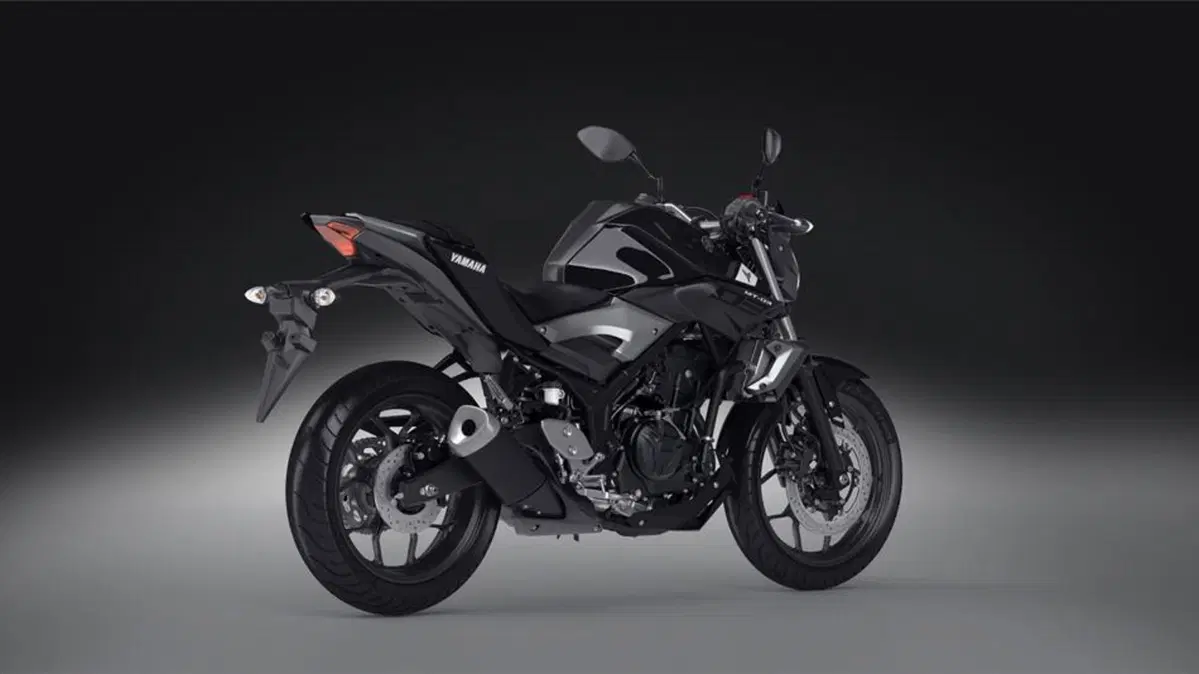 Yamaha MT-03 MT-03 (2016 - 17) (3)