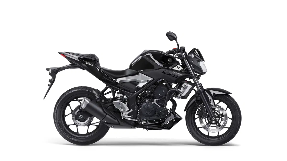 Yamaha MT-03 MT-03 (2016 - 17) (6)