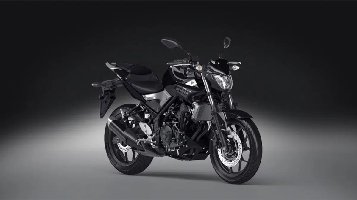Yamaha MT-03 MT-03 (2016 - 17) (7)