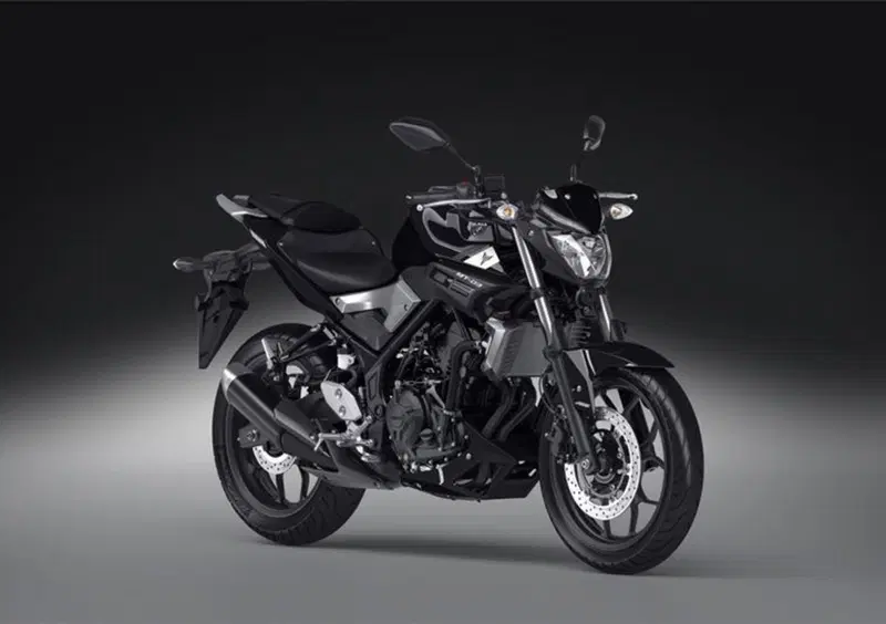 Yamaha MT-03 MT-03 (2016 - 17) (7)