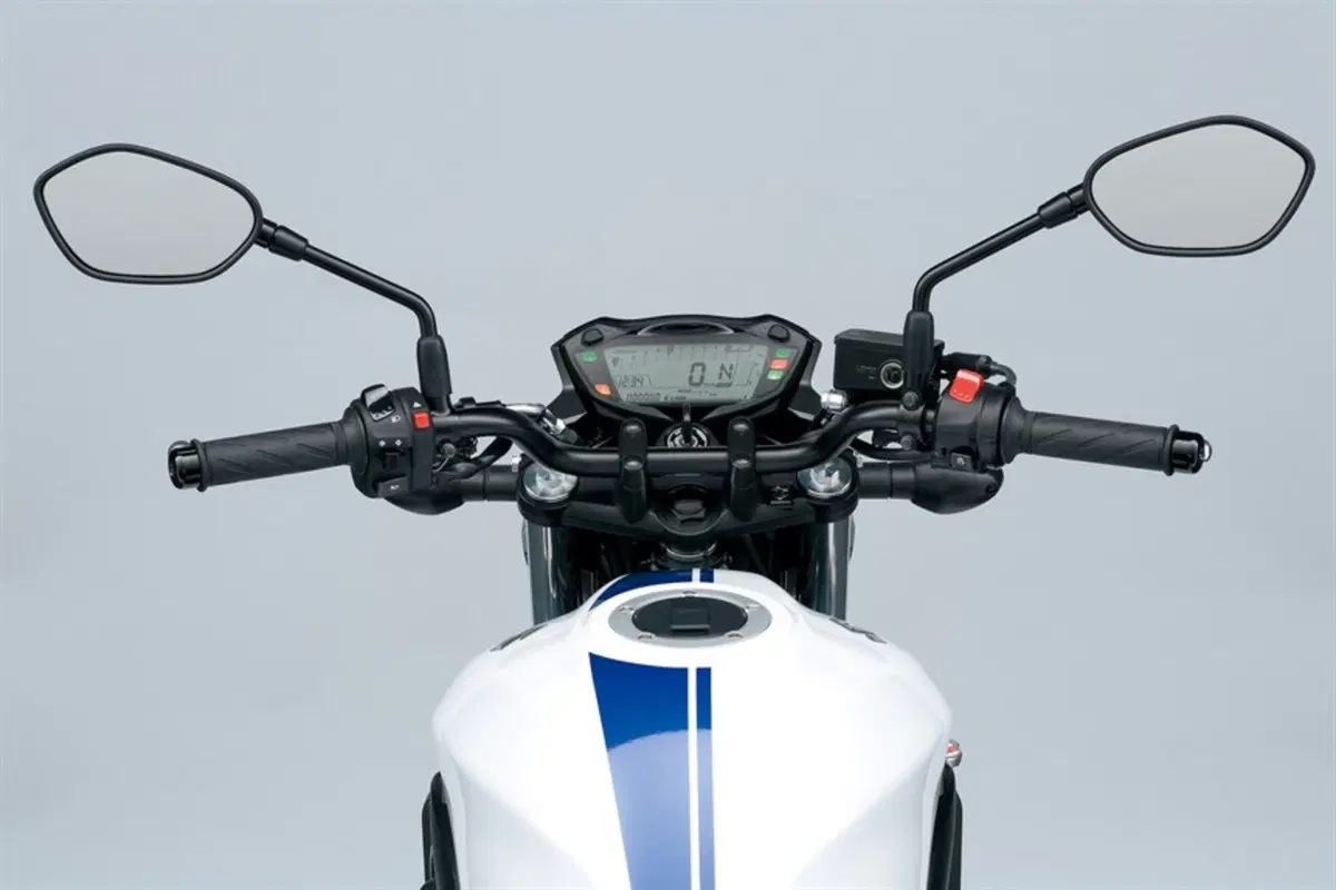Suzuki SV650 SV 650 (2016 - 20) (2)