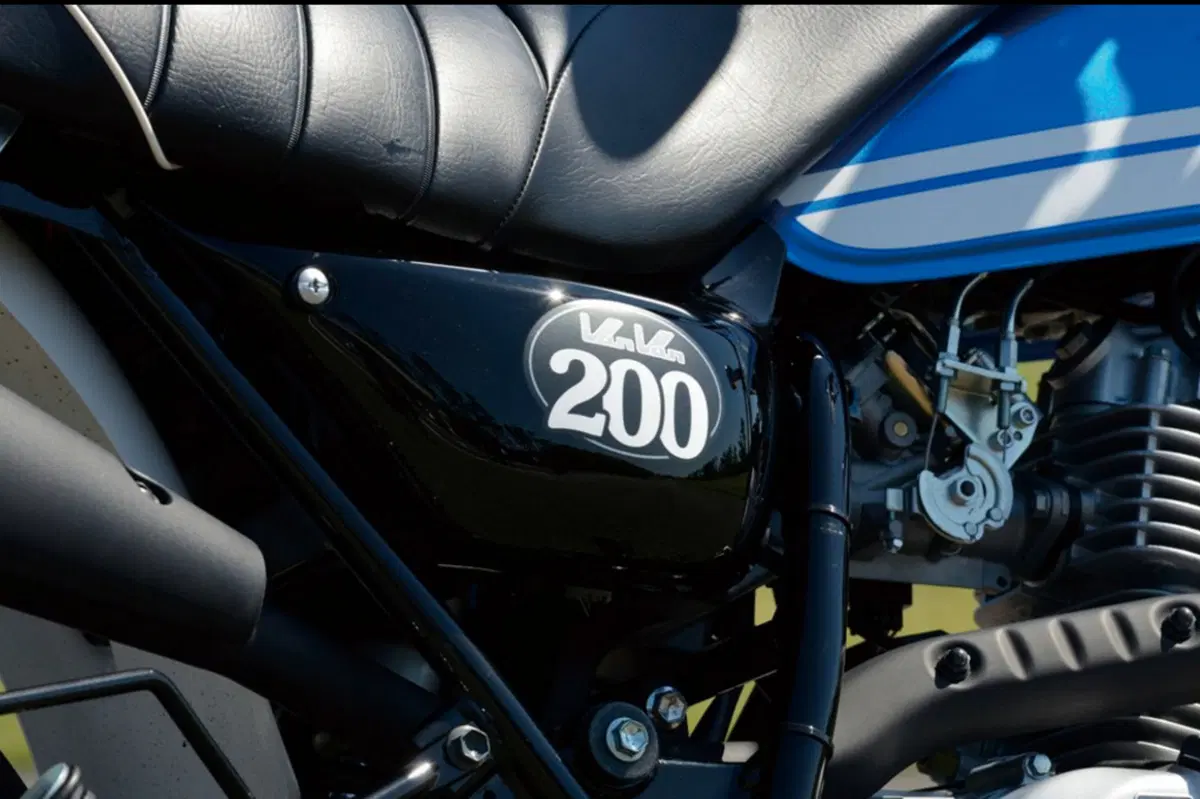 Suzuki Van Van RV 200 Van Van RV 200 (2016 - 17) (7)