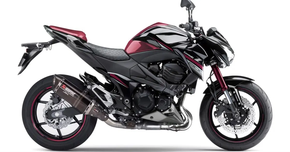 Kawasaki Z 800 Z 800 Sugomi Edition ABS (2016) (3)