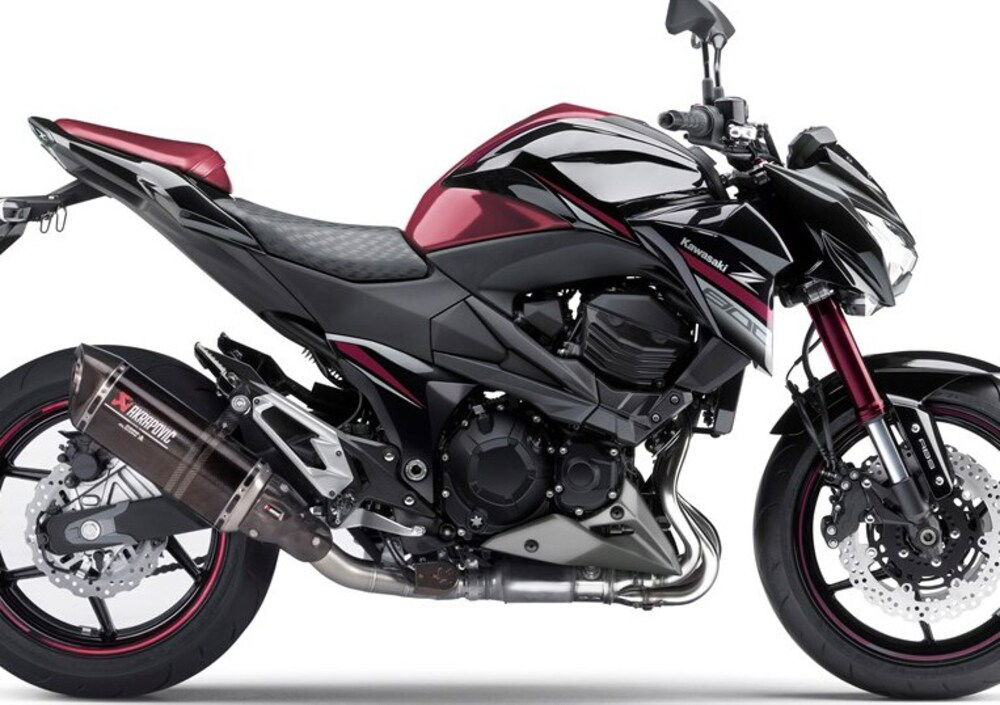 Kawasaki Z 800 Sugomi Edition ABS (2016) (3)