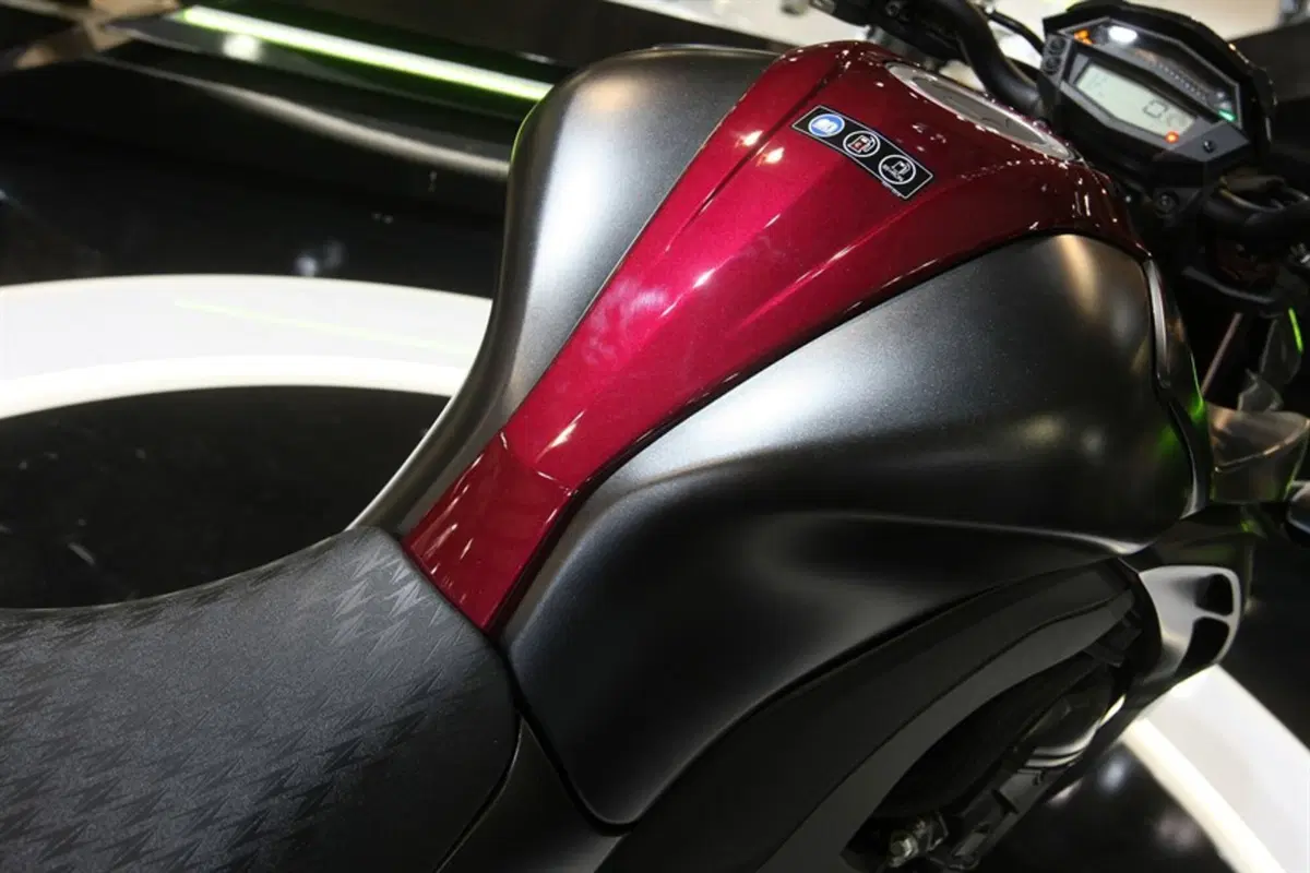 Kawasaki Z 1000 Z 1000 Sugomi Edition ABS (2016) (4)