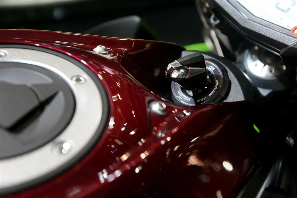 Kawasaki Z 1000 Z 1000 Sugomi Edition ABS (2016) (3)