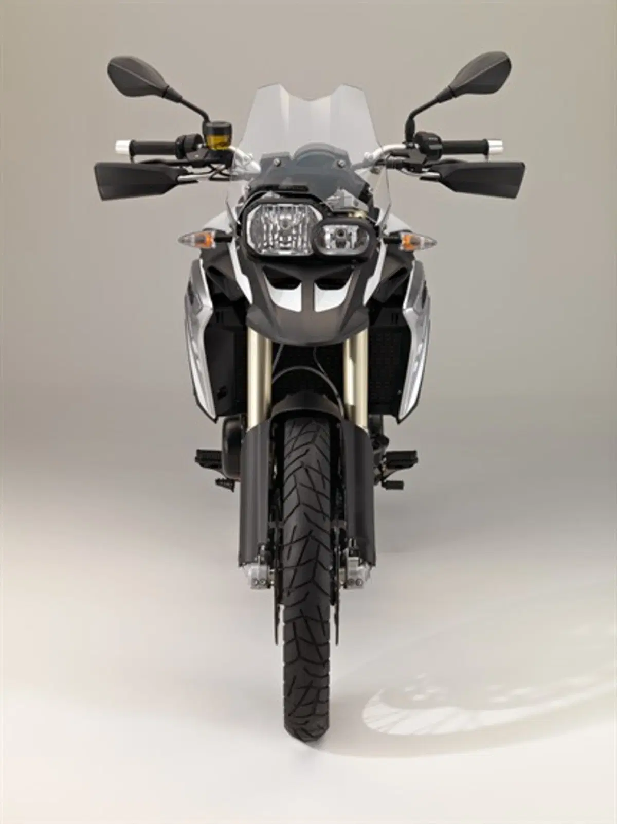 Bmw F 800 GS F 800 GS (2016 - 18) (11)