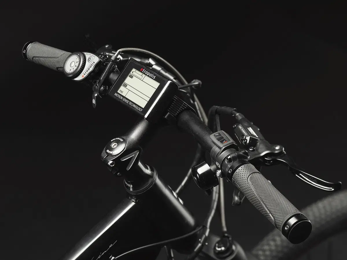 E-bike: Etropolis MTB 29er (3)