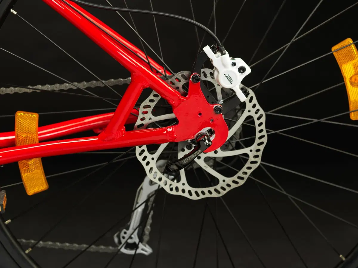 E-bike: Etropolis MTB 29er (6)