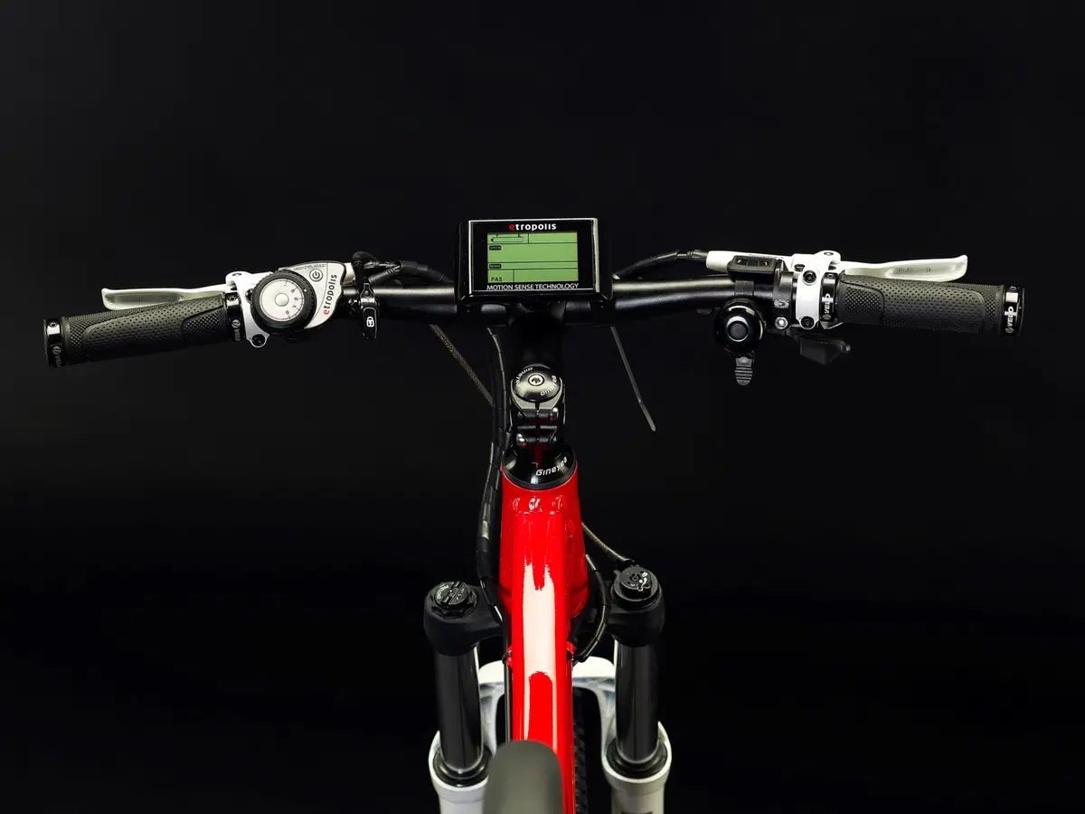 E-bike: Etropolis MTB 29er (7)