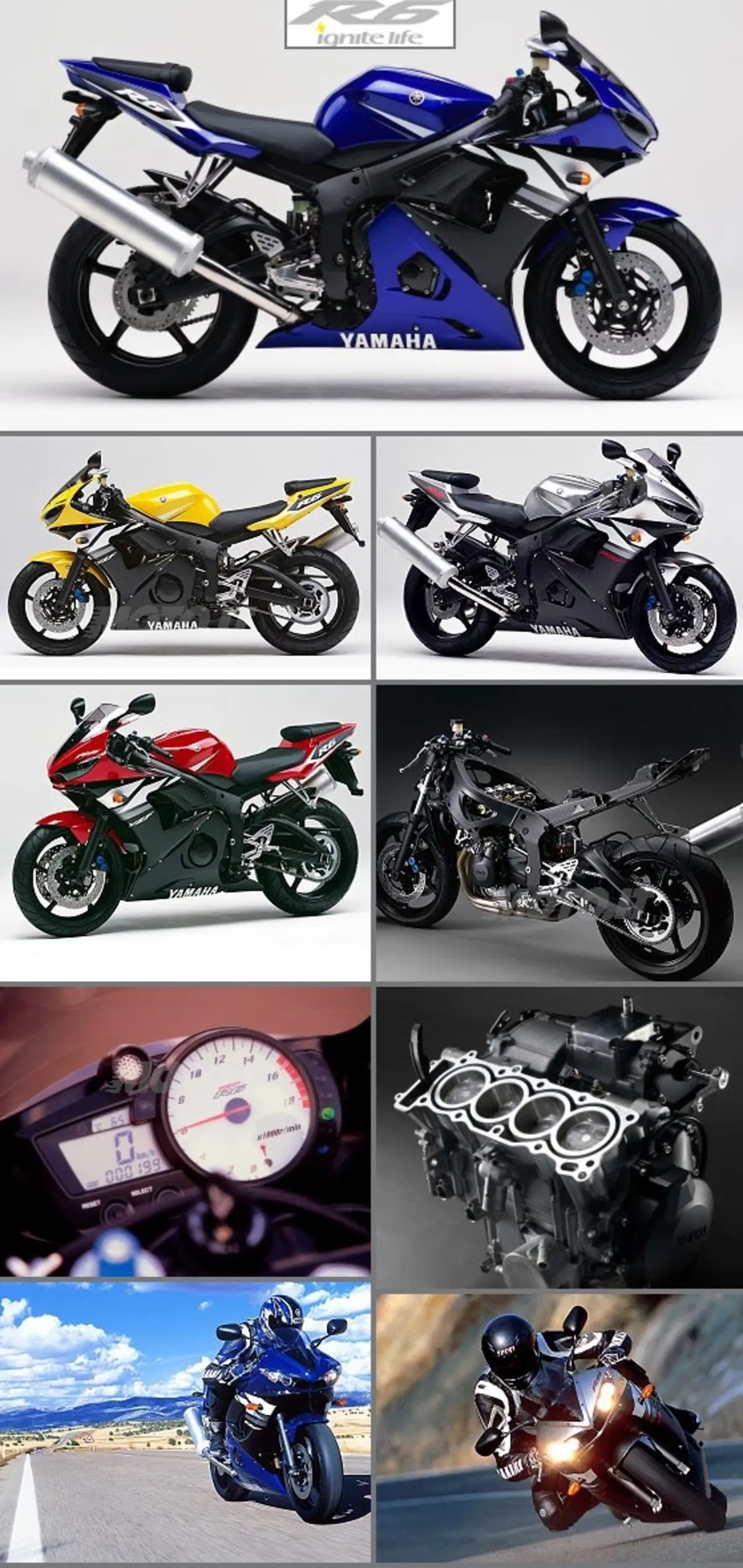 YAMAHA 2003: la nuova R6