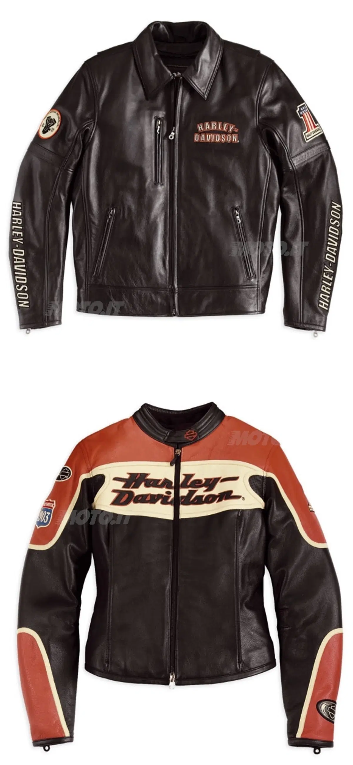 Collezione Fall