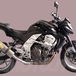 Carbon Cap per Z750 2007