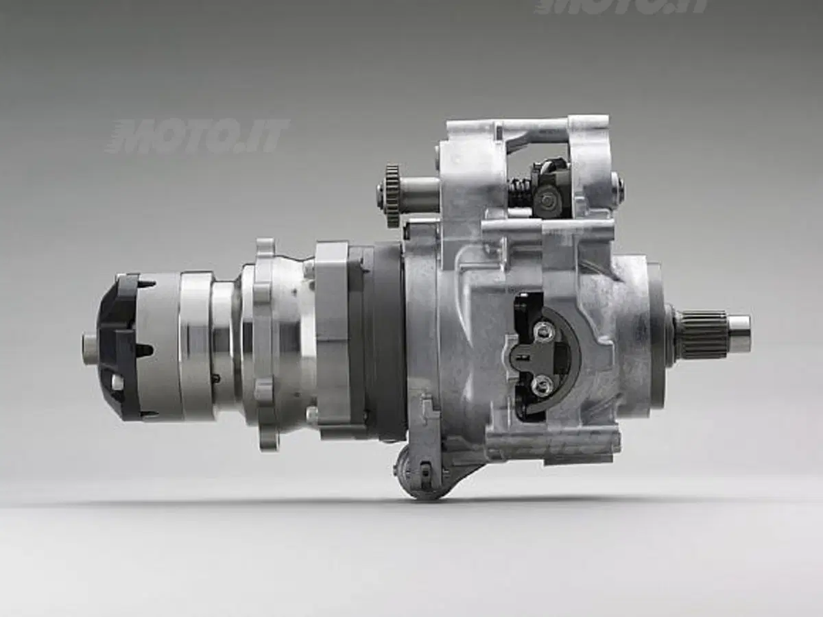 DN-01 (5)