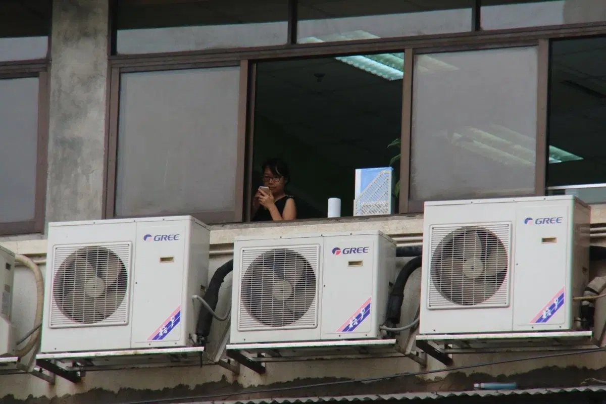 Cartoline dal Macau Gran Prix 2015 (70)