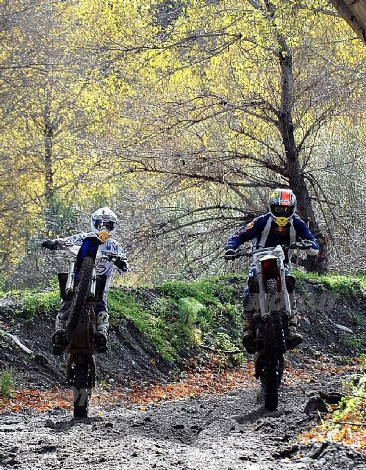 Dovizioso sfida Cairoli (4)