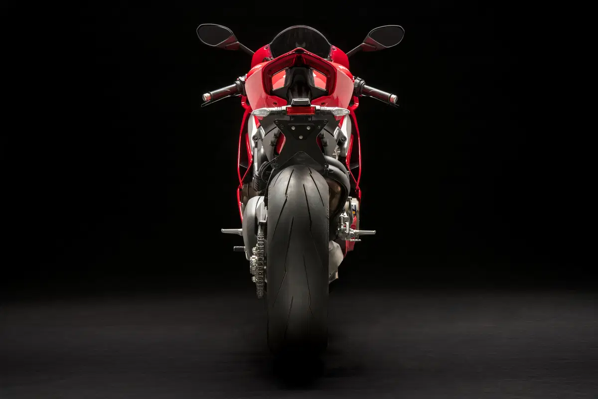 Ducati Panigale V4 Panigale V4 S 1100 (2018 - 19) (4)