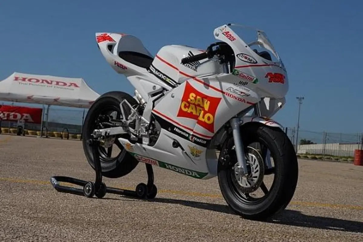 NSF100 Junior Trophy