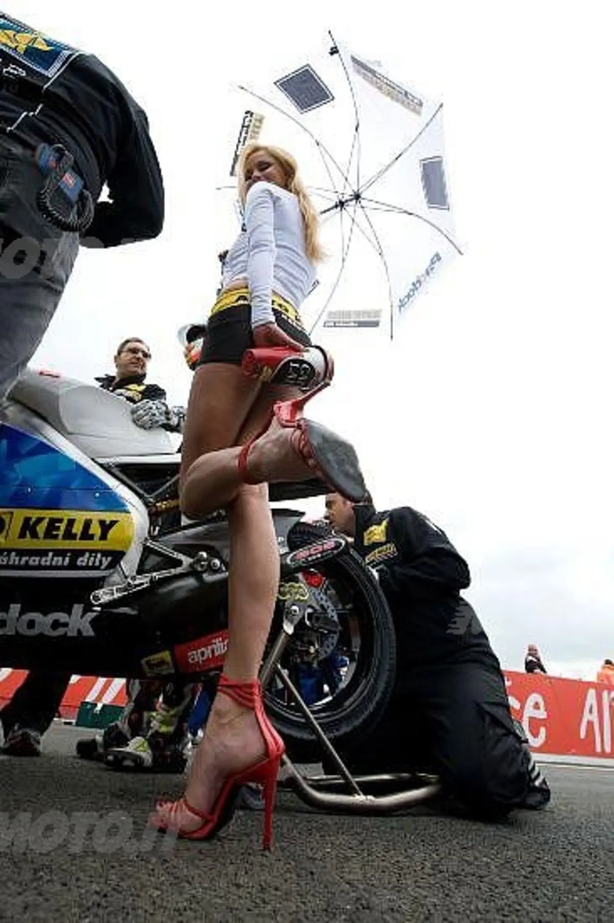 Le più belle ragazze viste sulla pista di Le Mans (3)