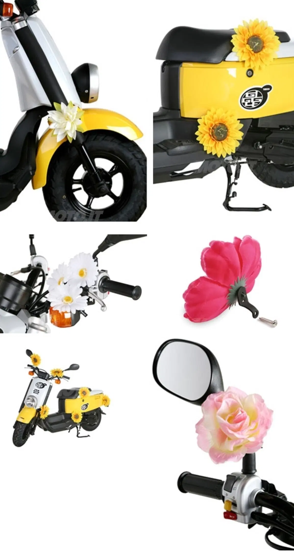 Fiori su due ruote
