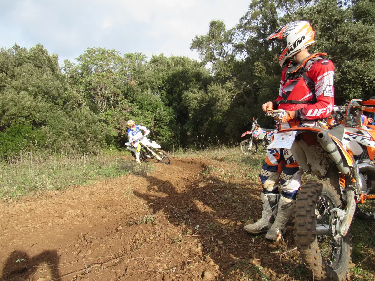 Campus Motorally. Cartoline dall'Isola d'Elba (13)