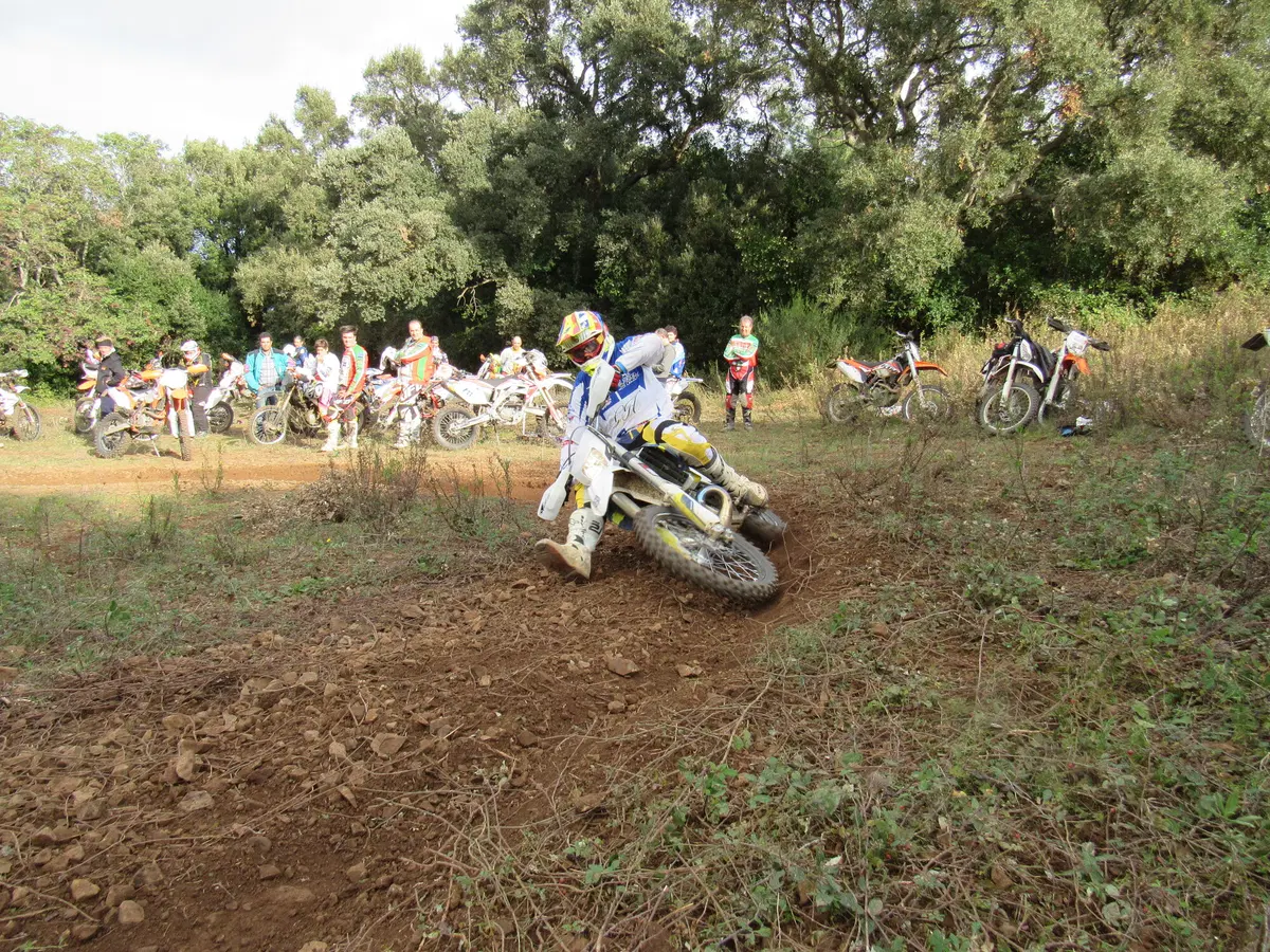 Campus Motorally. Cartoline dall'Isola d'Elba (14)
