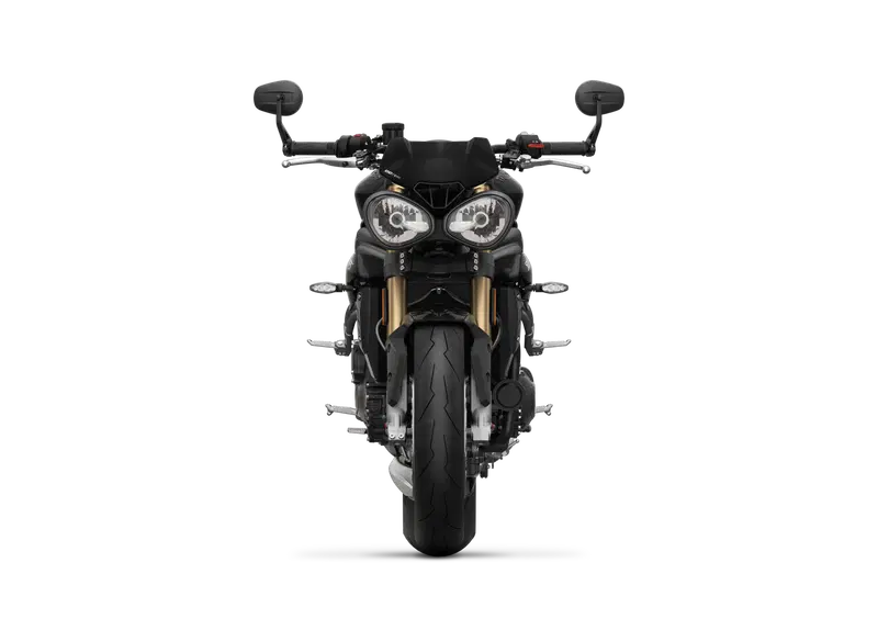 Triumph Speed Triple 1050 Speed Triple 1050 S (2018 - 20) (2)