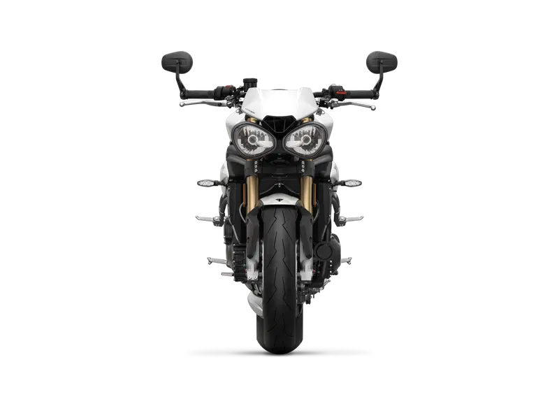 Triumph Speed Triple 1050 Speed Triple 1050 S (2018 - 20) (3)