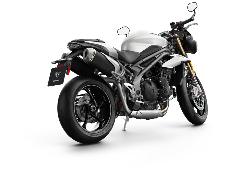 Triumph Speed Triple 1050 Speed Triple 1050 S (2018 - 20) (7)